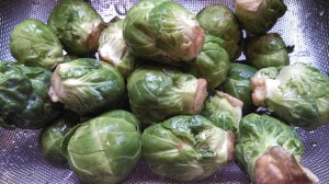 IMG_20130902_154125_600