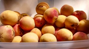 IMG_20130921_143000_102