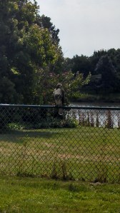 IMG_20130918_113050_977