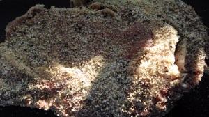 IMG_20131128_132349473