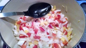 IMG_20131204_172205274_HDR