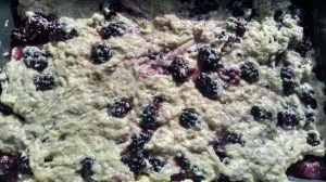 IMG_20141102_123902710_HDR