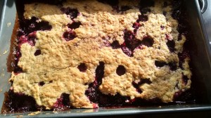 IMG_20141102_135007074_HDR