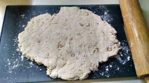 IMG_20141109_122801609_HDR