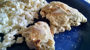 IMG_20141109_130230658_HDR